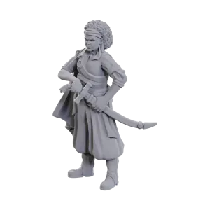 D&D: Nolzur's Marvelous Minis - Ansalon Human Rogue [90110]