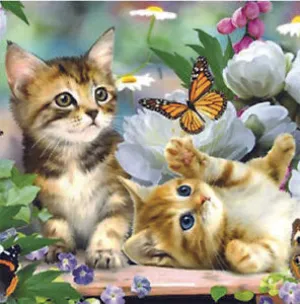 Diamond Art Kitten 30cm X 40cm