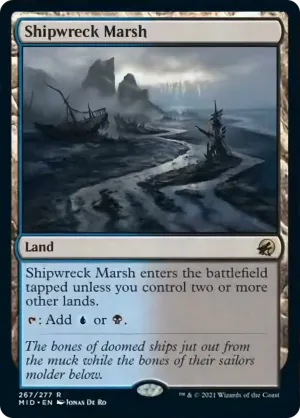 Shipwreck Marsh (MID)